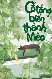 Cố Tổng Biến Thành Mèo