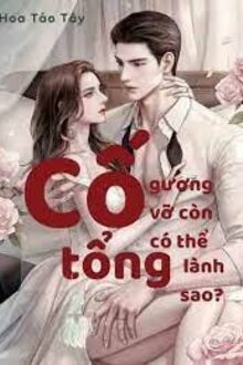 Cố Tổng Gương Vỡ Còn Có Thể Lành Sao