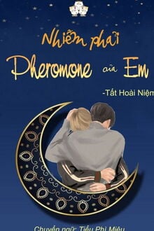 Nhiễm Phải Pheromone Của Em