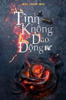 Tình Không Dao Động